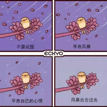 28749